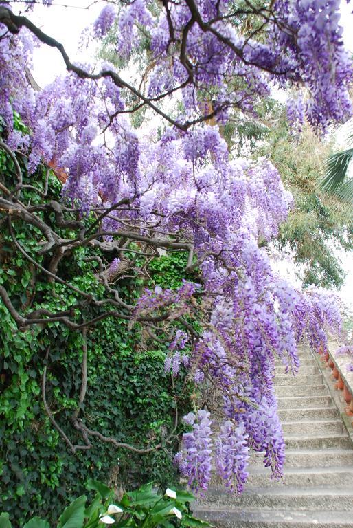 Villa Della Pergola Relais Et Chateaux アラッシオ エクステリア 写真