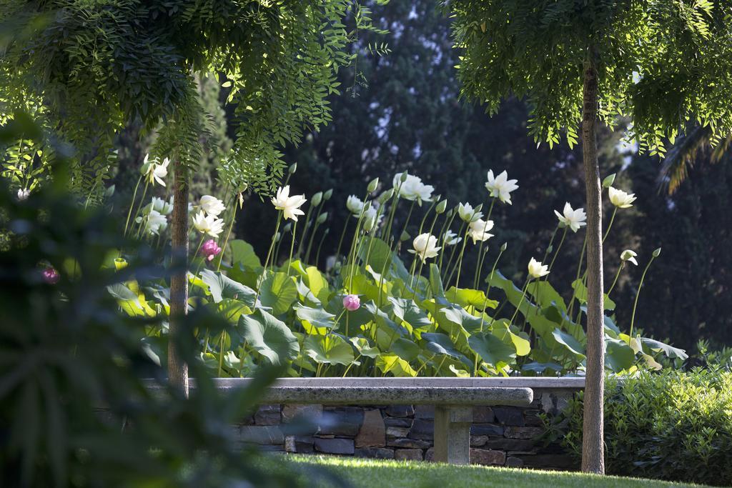 Villa Della Pergola Relais Et Chateaux アラッシオ エクステリア 写真