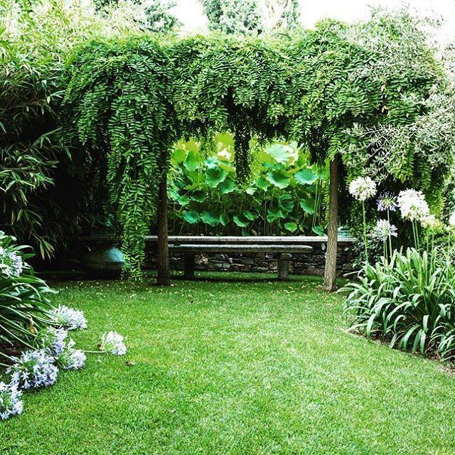 Villa Della Pergola Relais Et Chateaux アラッシオ エクステリア 写真