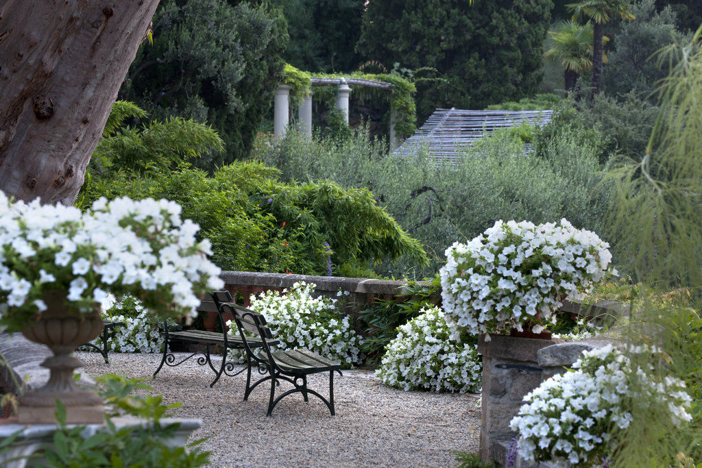 Villa Della Pergola Relais Et Chateaux アラッシオ エクステリア 写真