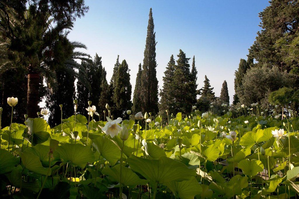 Villa Della Pergola Relais Et Chateaux アラッシオ エクステリア 写真